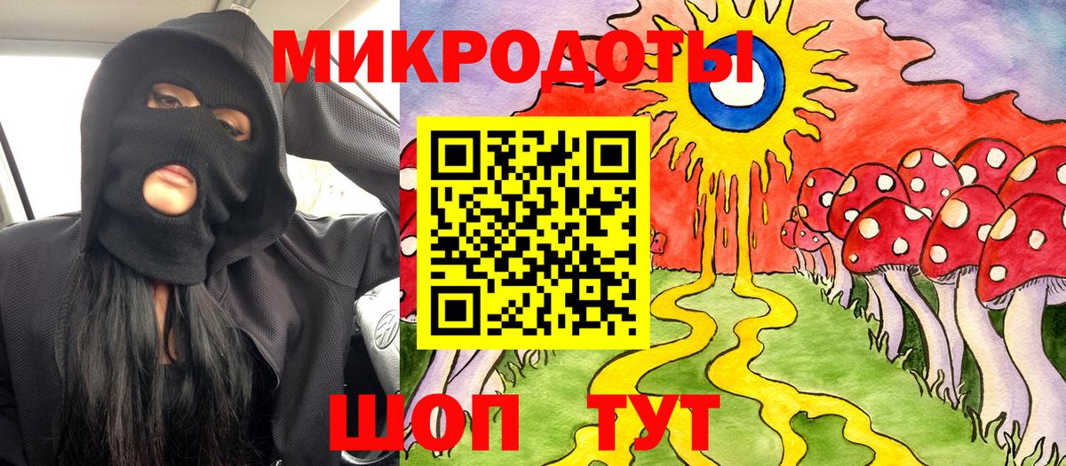 Псилоцибиновые грибы Psilocybe Беслан